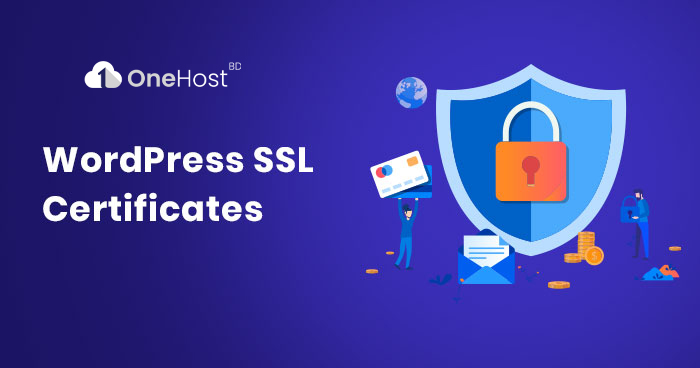 SSL Install on WordPress Website 2024